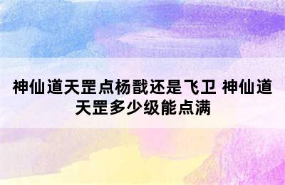 神仙道天罡点杨戬还是飞卫 神仙道天罡多少级能点满